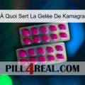 À Quoi Sert La Gelée De Kamagra 10